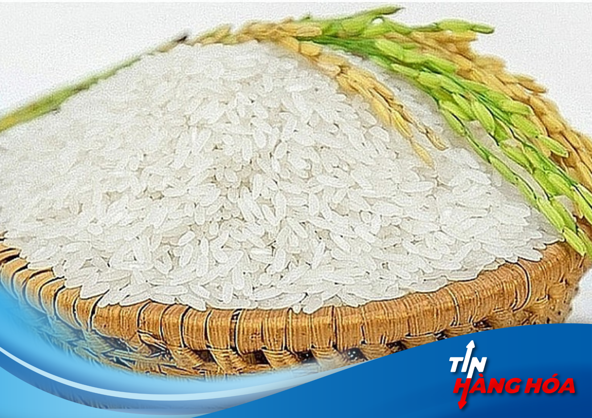 Gạo tăng nhẹ như đang "v&ugrave;ng dậy," l&uacute;a vẫn đứng vững như "người h&ugrave;ng" ng&agrave;y 24/9!